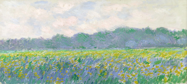 FieldofYellowIrisesatGiverny1887法国画家克劳德.莫奈oscarclaudeMonet风景油画装饰画