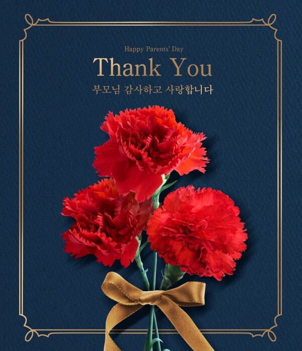 大气韩系红色康乃馨花束边框海报素材