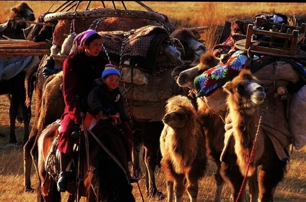 新疆文化图片