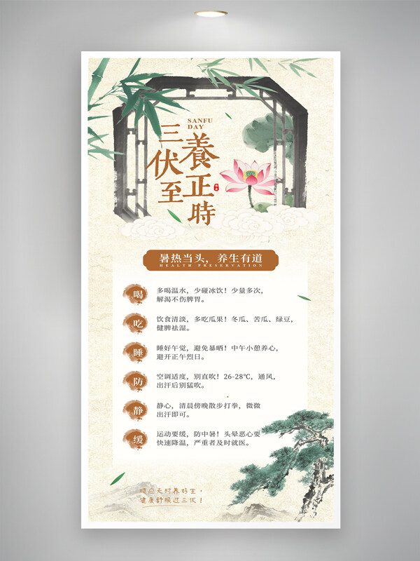 夏日三伏天养生科普活动中医养生海报