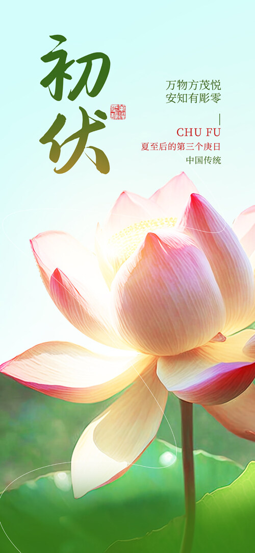 创意简约自然风光荷花插画初伏三伏天海报