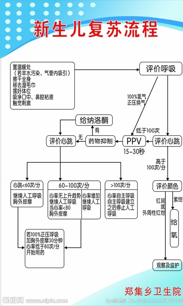 新生儿复苏流程图片