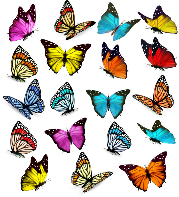 各种漂亮蝴蝶矢量素材