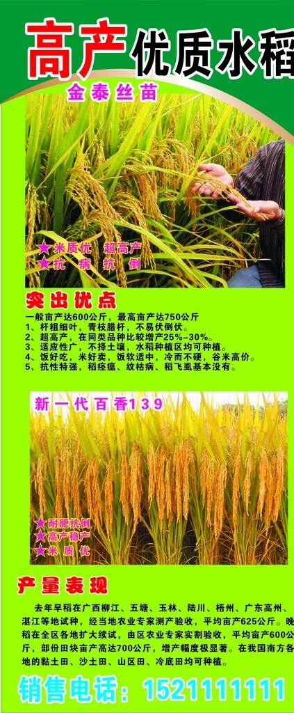 水稻宣传展架