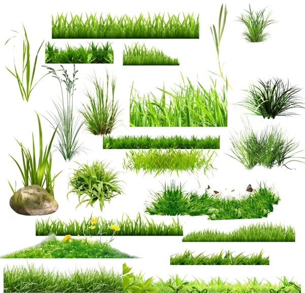 绿色草素材植物