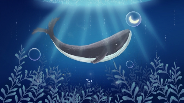 治愈系深海遇鲸晚安你好九月你好插画海报