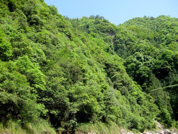 山风景图片