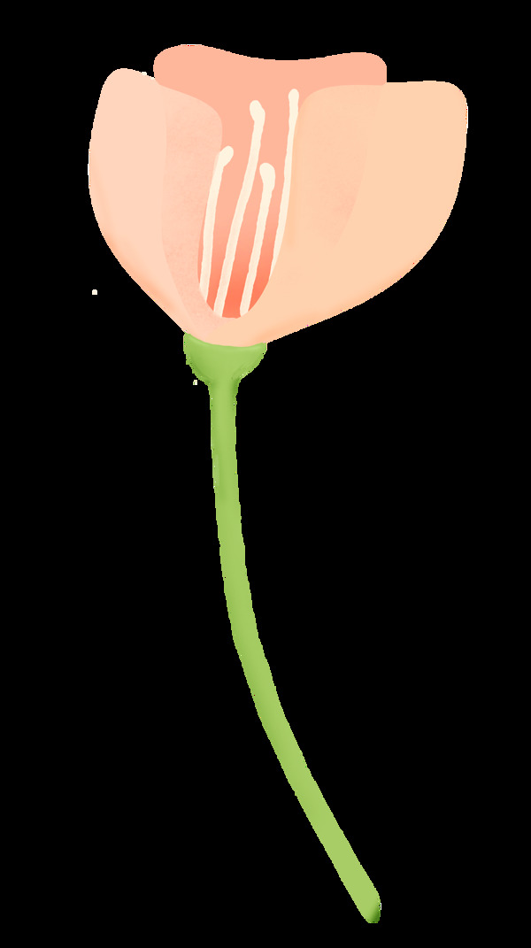 情人节浪漫花卉卡通水彩透明素材