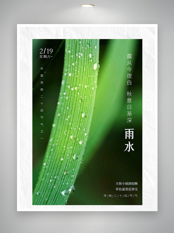 绿色主题雨水节气绿色露珠主题海报