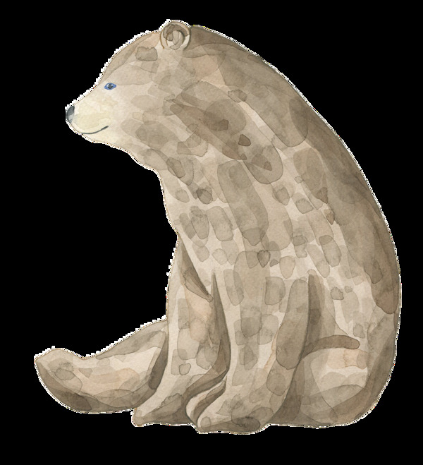 手绘小熊透明装饰图案