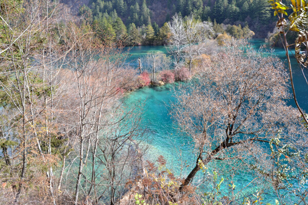 火花海图片