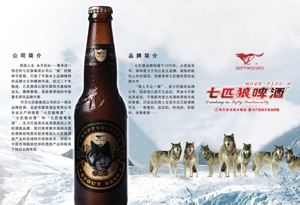 七匹狼啤酒宣传图片