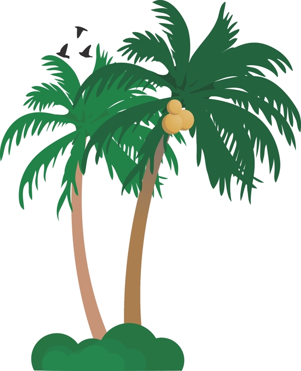 夏日海边的椰子树