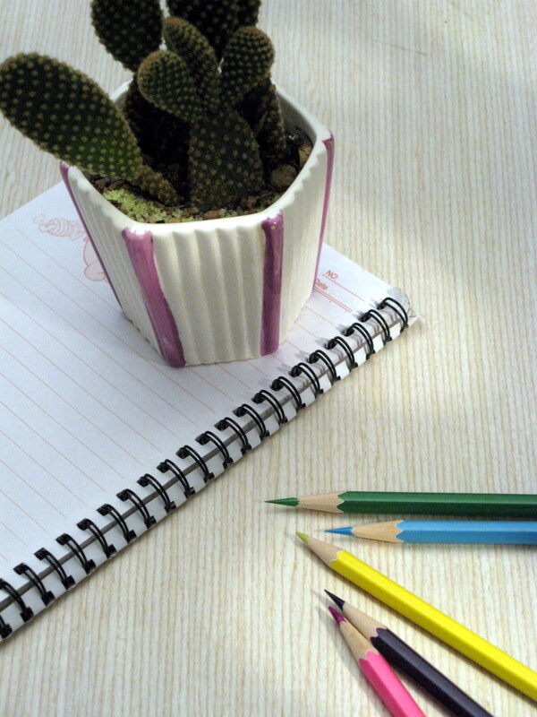 仙人掌和彩色铅笔图片