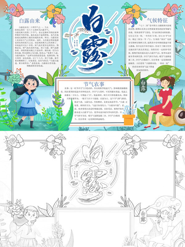 可爱简约白露白露介绍手抄报