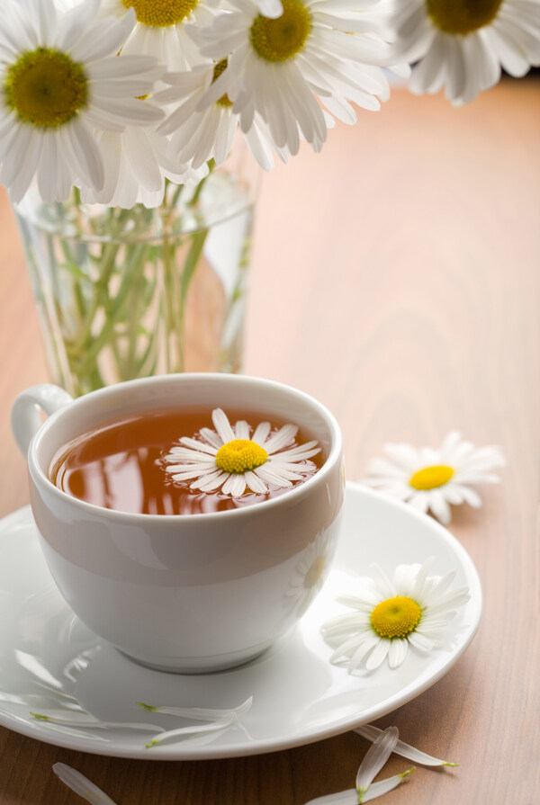 一杯菊花茶图片