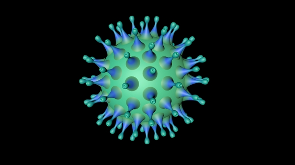 冠状病毒冠状病毒细胞