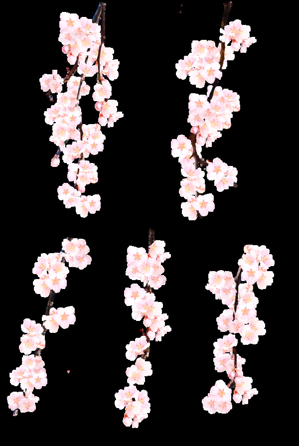 浪漫粉色花枝手绘元素