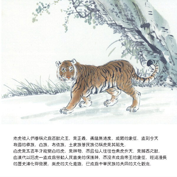 森林之虎装饰画