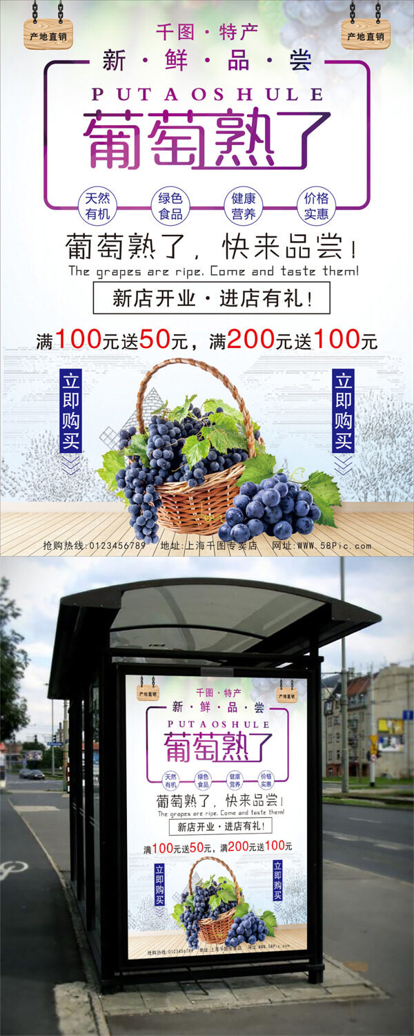 水果之葡萄海报