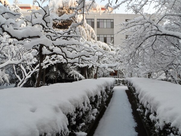 雪景图片