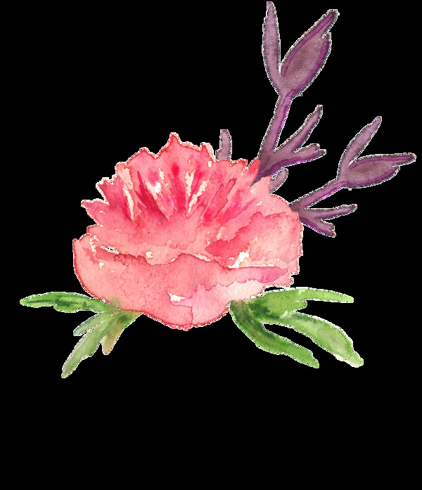 浪漫粉色花卉透明装饰素材